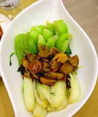 ��ɫϲ�˻����ѵ�����˹�