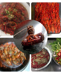 ���Ի������ġ�֮��Ϻ������������ζ����