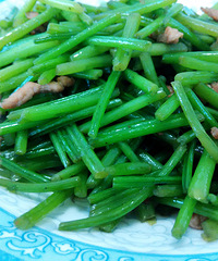 һ����־�Ĳ�