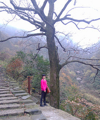 ʨ�ӡ�87��158����������