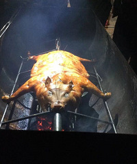 ���ҿ��ҿ���