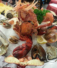 �쵼΢�Ŵ������ΰ���~