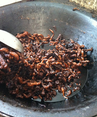 ���Ի������ġ�֮�ž��ɵ�һ�����ڶ�ɹ