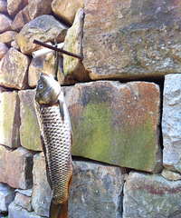 ���Ի������ġ�֮���������