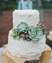 ֲ���뵰������Ļ�