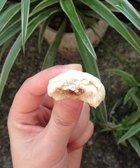 ���Ի������ġ����������ֱ�