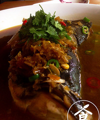 ���Ի�������05���罷��ͷ����