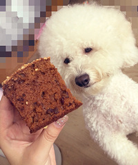 ���൰�� ������Ҳ���