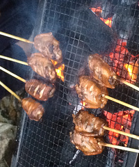 ����ɳ��ɽ��������տ�