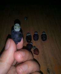 ����֪������ʲô������