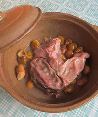 ����졪������������İ���������