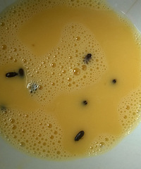 �ؿ�ζ��͡����浰