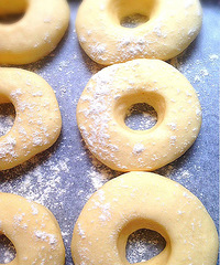 ����Ҳ������ ����������Ȧ