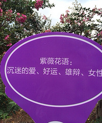 [�Ƽ�]�����Ļ� 2014�ɾ��׽���ޱ����