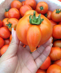 ɹɹ�Ҽ��ֵ����ⷬ��