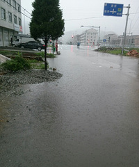 交通公路部门,现