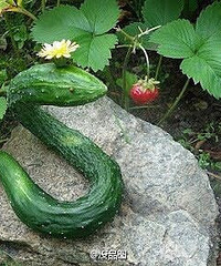 [����]������ǧ��Ҫ������ ������