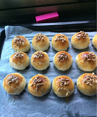 ��һ�����±� �о�����