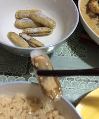 �������� �����·�