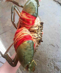 ������з   ��������