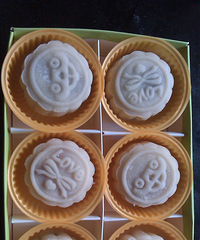 ��Ƥ�±� �Լ�������ģ����