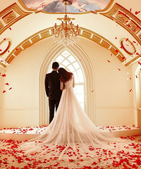 �������ռǡ���˵����Ů�� ���ǌ�˿~