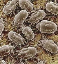 [����]һ����������ޱ��ϵ�����