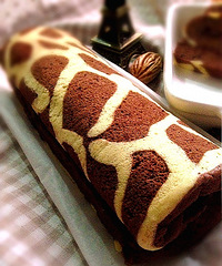 �����ȵĳ���¹�Ƶ����