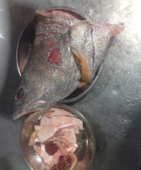 �Ҹ��¹��� �治��ɭ