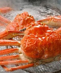 �����з�ؿ���������Բ��ԣ���ôѡз������~