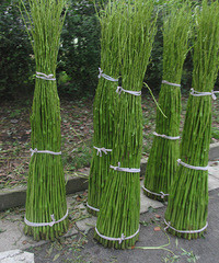 ���� ˭֪��ѧ����ʲô