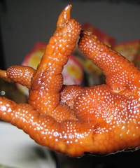 ̨�ݷ�צ��ȫ����ζ��צ�����⣨�вʵ�~��