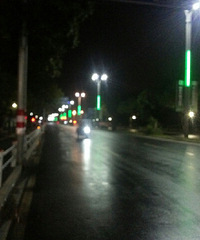 秋高气爽跑歩好,城区数条路线任你挑。