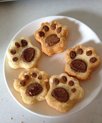 ������ �����ݷ�