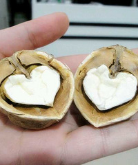 �ڴ�������һ�γԵ����ʵĺ���