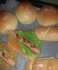 ���Ի������ġ�С���ѵ���Ļ������