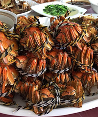 ����ѽ���ζ���ȣ�ÿ��Ժ���Ƭ���ܣ�