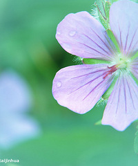 �򵥵������ռ�!