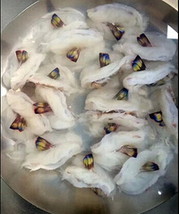 ��Ϻ��Ϻ ����һ��Ϻ�����