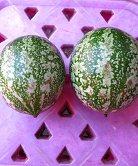 ����֪������ʲô������