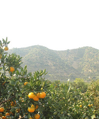 ������ȥ�Ķ�����ļ������ű�������ɫ��ժ���Ӱɣ�