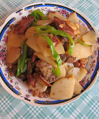 �ҿɲ�����������Ƭ �µ�����ʲô����