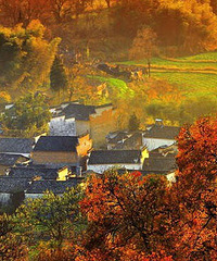 [�Ƽ�]11���й���������11���ط�