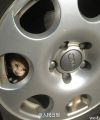 [����]������ ����ǰ�밴�������չ�С���