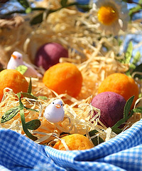 ��ķ��֥ʿ˫ɫ������