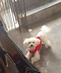 [Ѱ����ʾ]���Ѽҵ�С��ͯͯ���� ���æ