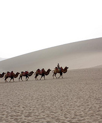 西北之旅-额济纳和丝绸之路