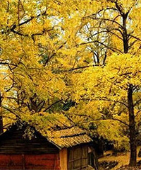 [�Ƽ�]ʡ������û���ѵ��Լ�ʤ�� ��ȥ������