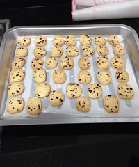 ��Խݮ���� ��������ܼ�֮·