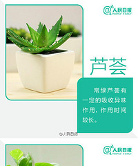 [�ο�]9�������ֲ�� ѡһ���ؼҰ�